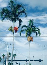 Low angle view of coconut palm tree against sky