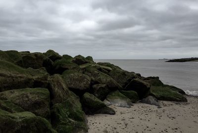 Moss covered rocks on shore at beach against cloudy sky