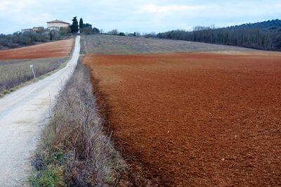 Scenic view of agricultural field against sky