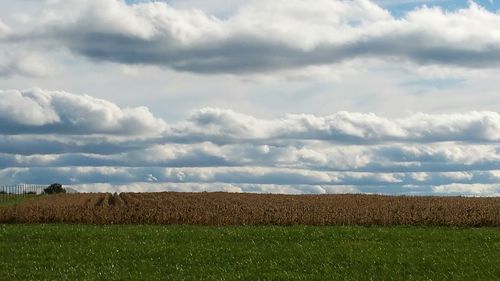 Scenic view of field against cloudy sky