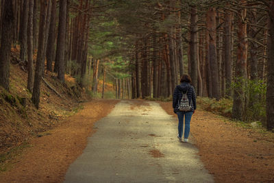 Rear view girl walking on footpath amidst trees in forest
