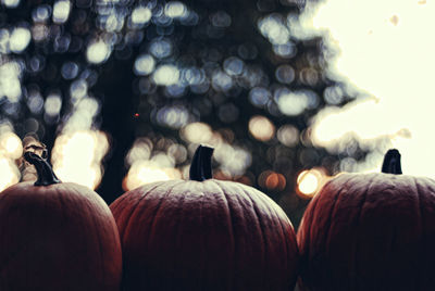 View of three pumpkins