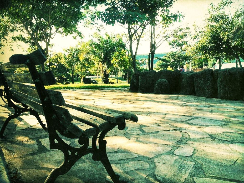 tree, empty, absence, chair, bench, seat, park - man made space, park bench, sunlight, shadow, tranquility, growth, table, nature, park, day, no people, outdoors, tree trunk, tranquil scene