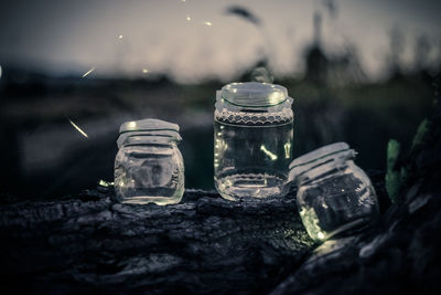 Glowing fireflies on container on rock at dusk