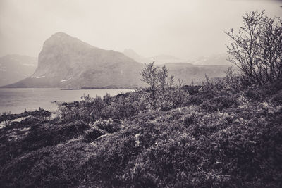 Scenic view of landscape and mountains against sky