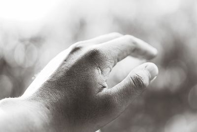 Close-up of hand