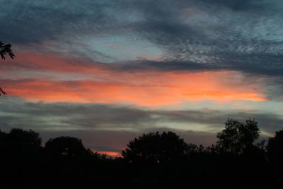 Silhouette trees against dramatic sky during sunset