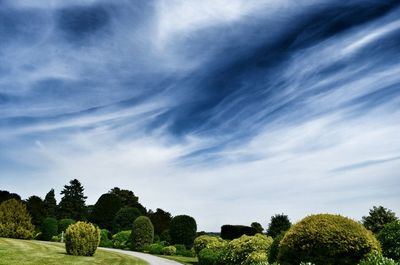Tranquil green garden with shrub and trees against sky