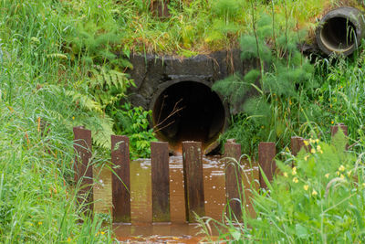 Old abandoned container on land