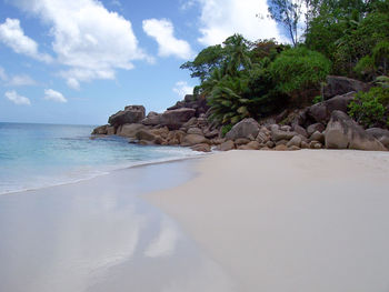 Scenic view of beach against sky