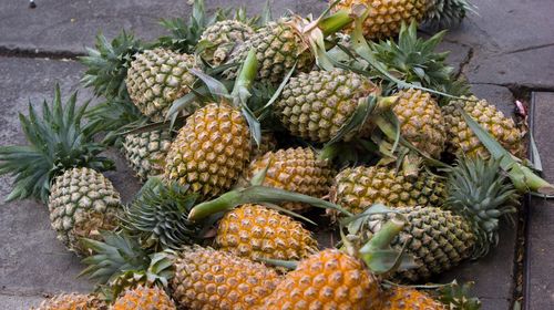 Close-up of fruits