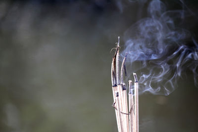 Incense burn to worship the buddha and the sacred.