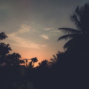 Silhouette trees against sky during sunset