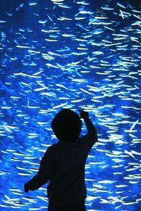 Rear view of silhouette boy swimming in aquarium