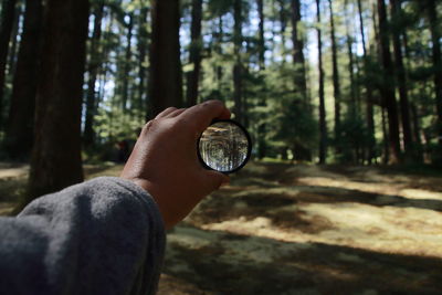 Cropped image of person holding crystal ball by trees at forest