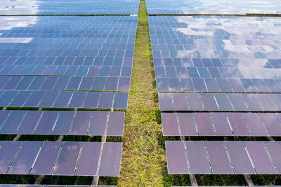 Aerial view of solar panels or solar cells on the roof in farm. power plant 