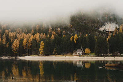 Scenic view of lake in forest