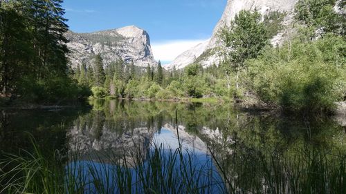 Scenic view of lake by trees against sky