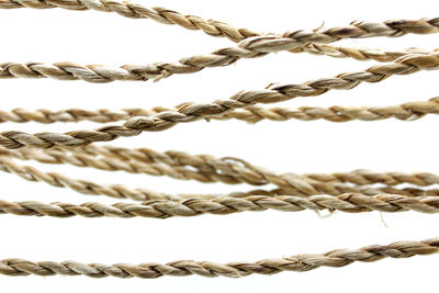 Close-up of twisted rope against white background