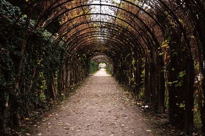 Hedgerow archway view of autumn in mirabell garden, salzburg, austria.