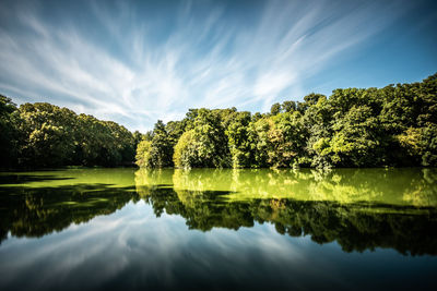 Scenic view of lake by trees against sky