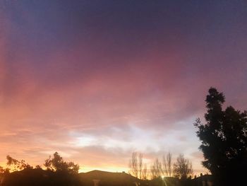 Low angle view of silhouette trees against sky during sunset