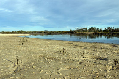 Scenic view of beach against sky