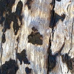 Full frame shot of weathered wood