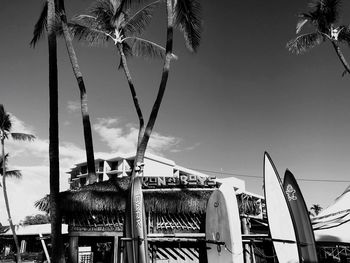 Low angle view of coconut palm trees against sky