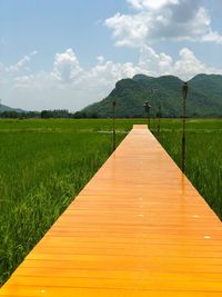 Dirt road along plants on field against sky