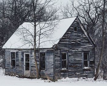 Bare trees with houses in background