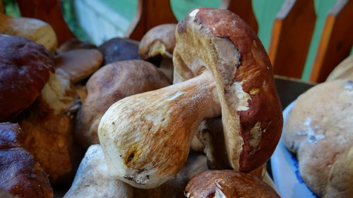 Close-up of food on table