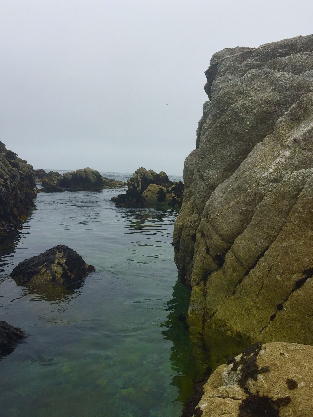 Great day for hanging out at the tide pools with the granddaughters