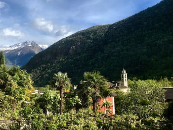 Plants and trees by building against sky