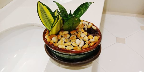 High angle view of fruits on table