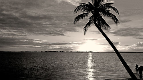 Silhouette palm tree by sea against sky at sunset