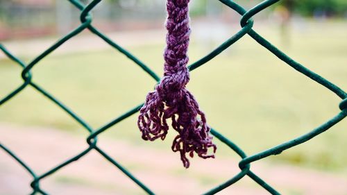 Close-up of chain link fence