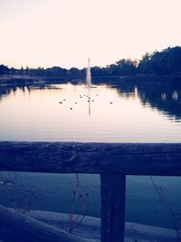 Flock of birds flying over river