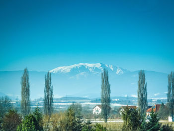 Panoramic view of trees and mountains against clear blue sky