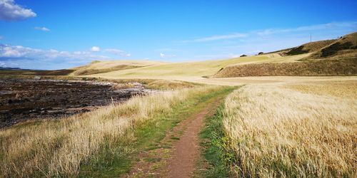 Scenic view of landscape against sky