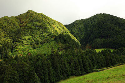 Scenic view of green landscape against sky