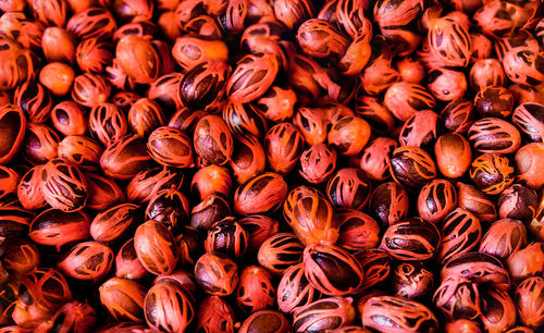 Full frame shot of nutmegs for sale at market