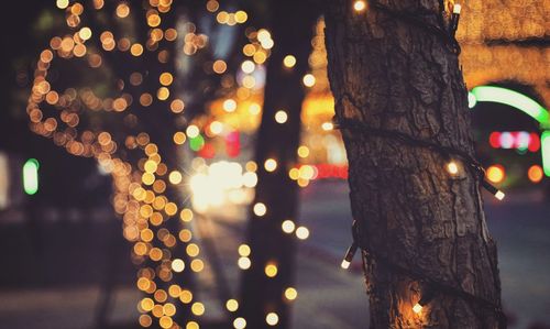 Illuminated lighting equipment on tree at night