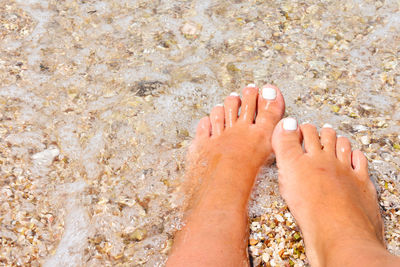 Low section of woman feet in water at beach