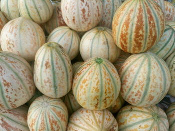 High angle view of muskmelons for sale