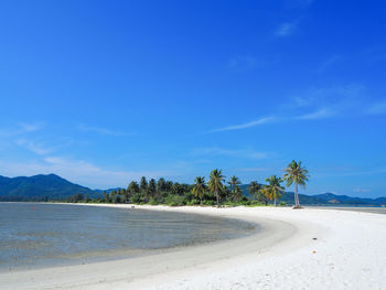 Scenic view of beach against blue sky