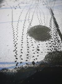 Close-up of snow on water