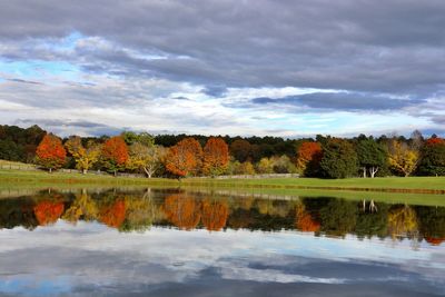 Scenic view of lake by trees against sky during autumn