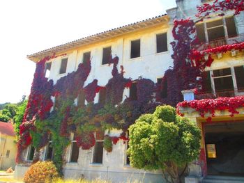Low angle view of building