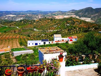 Scenic view of farm against sky